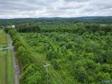 65 ACRES Harris Drive - Photo 11