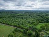 65 ACRES Harris Drive - Photo 13