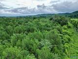 65 ACRES Harris Drive - Photo 3