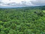 65 ACRES Harris Drive - Photo 4