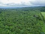 65 ACRES Harris Drive - Photo 5