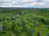65 ACRES Harris Drive - Photo 9