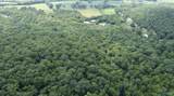 15 Acres Mill Road - Photo 6