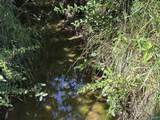 97 acres County Road 611 - Photo 10