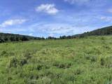 97 acres County Road 611 - Photo 11