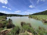 97 acres County Road 611 - Photo 14
