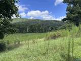 97 acres County Road 611 - Photo 15