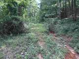 97 acres County Road 611 - Photo 16