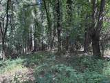 97 acres County Road 611 - Photo 18