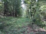 97 acres County Road 611 - Photo 19