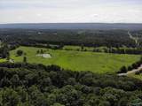 97 acres County Road 611 - Photo 20