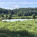 97 acres County Road 611 - Photo 3