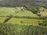 97 acres County Road 611 - Photo 29