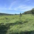 97 acres County Road 611 - Photo 4