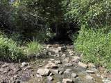 97 acres County Road 611 - Photo 5