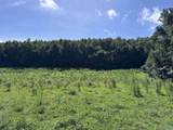 97 acres County Road 611 - Photo 7