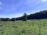 97 acres County Road 611 - Photo 8