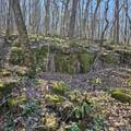 92 Acres All Jersey Road - Photo 16