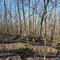 92 Acres All Jersey Road - Photo 19