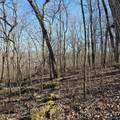 92 Acres All Jersey Road - Photo 20
