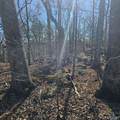 92 Acres All Jersey Road - Photo 25