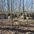 92 Acres All Jersey Road - Photo 27