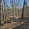 92 Acres All Jersey Road - Photo 28