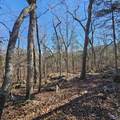 92 Acres All Jersey Road - Photo 29