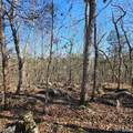 92 Acres All Jersey Road - Photo 30