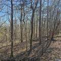 92 Acres All Jersey Road - Photo 33