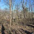 92 Acres All Jersey Road - Photo 36