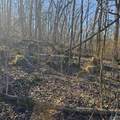 92 Acres All Jersey Road - Photo 37