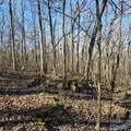 92 Acres All Jersey Road - Photo 4