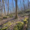 92 Acres All Jersey Road - Photo 40