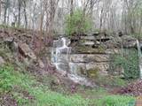 92 Acres All Jersey Road - Photo 41
