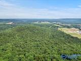 92 Acres All Jersey Road - Photo 5