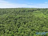 92 Acres All Jersey Road - Photo 8