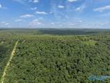 LOT 1 County Road 89 - Photo 10