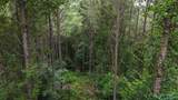06 County Road 41 - Photo 2