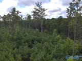 Lot C Taylor Circle - Photo 4