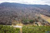 16679 Al Highway 35 - Photo 10
