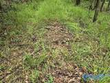 36 Acres Clairmont Springs Road - Photo 3
