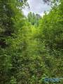 36 Acres Clairmont Springs Road - Photo 4