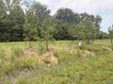 Lot 58 County Road 32 - Photo 1