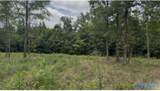 Lot 60 County Road 32 - Photo 1