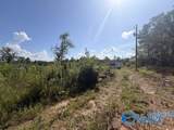 7495 County Road 113 - Photo 3