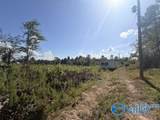 7495 County Road 113 - Photo 5