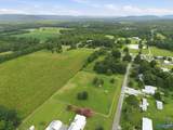 28 acres Curt Road - Photo 16