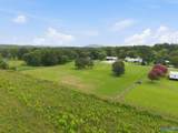 28 acres Curt Road - Photo 29