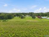 28 acres Curt Road - Photo 30